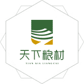 美女尻逼视频